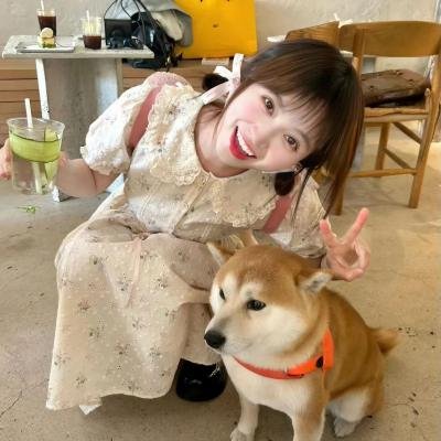 地球再发育